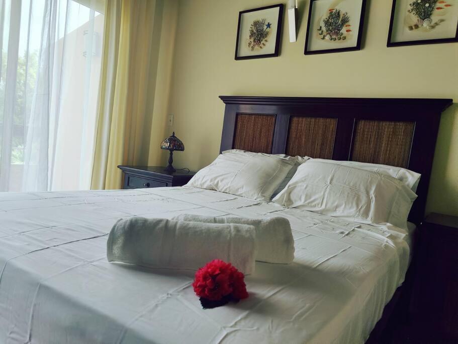 Aruba Family Oasis 2Br Pool 3Min Walk To Eagle Beach Palm Beach Bagian luar foto