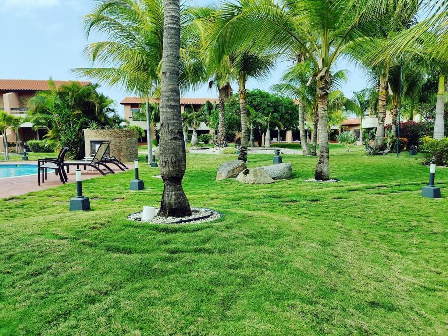 Aruba Family Oasis 2Br Pool 3Min Walk To Eagle Beach Palm Beach Bagian luar foto