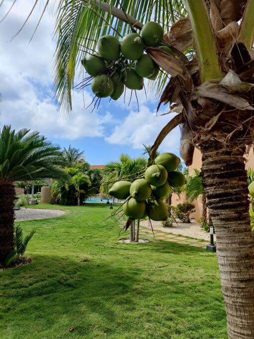 Aruba Family Oasis 2Br Pool 3Min Walk To Eagle Beach Palm Beach Bagian luar foto