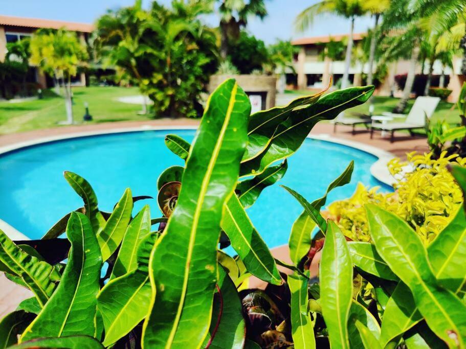 Aruba Family Oasis 2Br Pool 3Min Walk To Eagle Beach Palm Beach Bagian luar foto