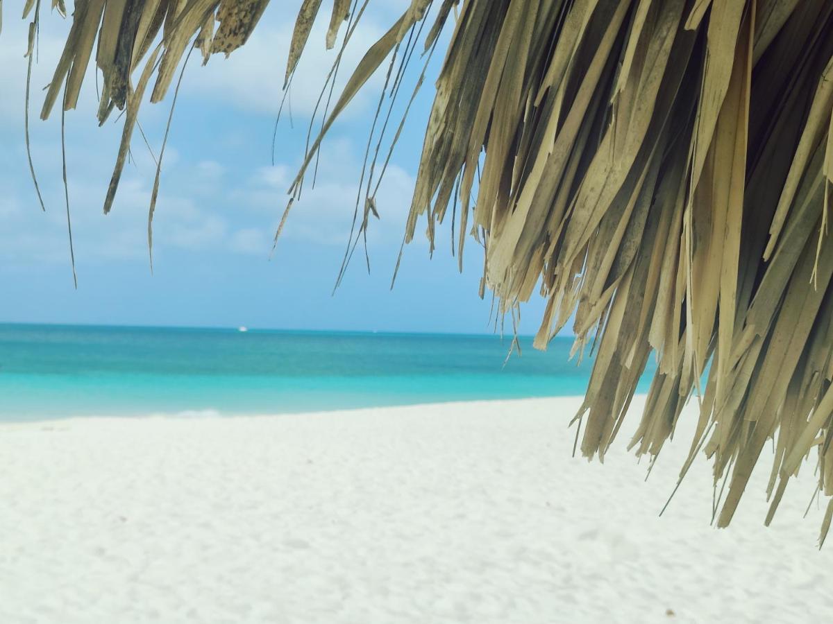 Aruba Family Oasis 2Br Pool 3Min Walk To Eagle Beach Palm Beach Bagian luar foto