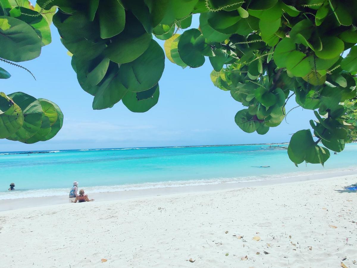Aruba Family Oasis 2Br Pool 3Min Walk To Eagle Beach Palm Beach Bagian luar foto